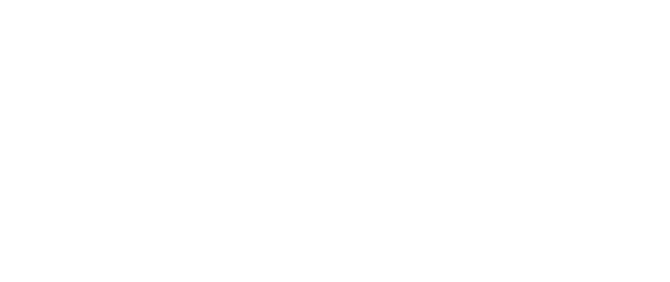 Chimera Leadership Group